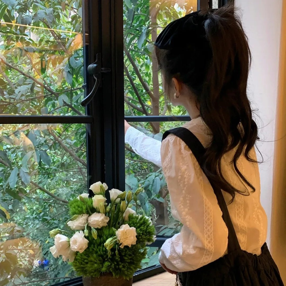 盗影谜情