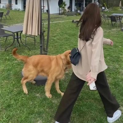 以爱情的名义